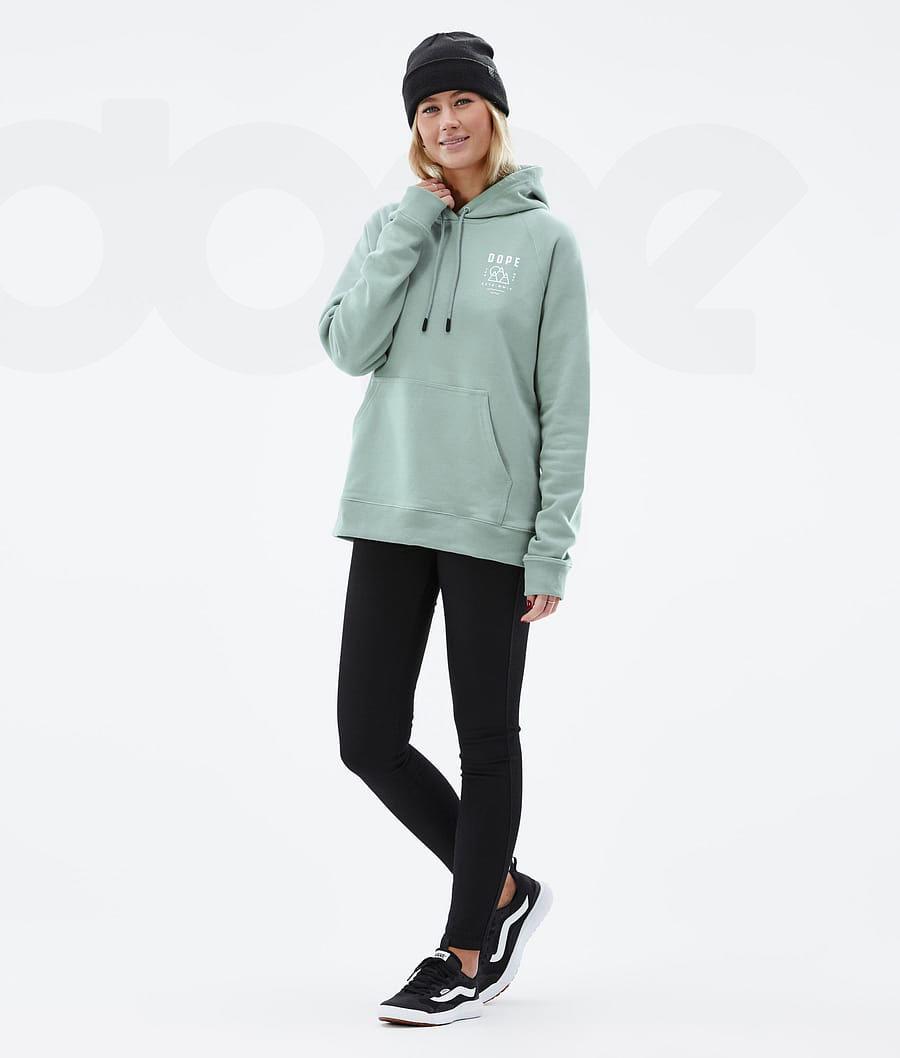 Sudadera Con Capucha Dope Common W Summit Mujer Verde | ESFM3840