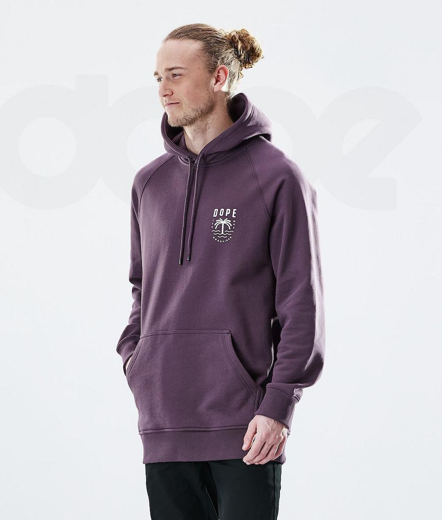 Sudadera Con Capucha Dope Daily Palm Hombre Moradas | ESBC3014