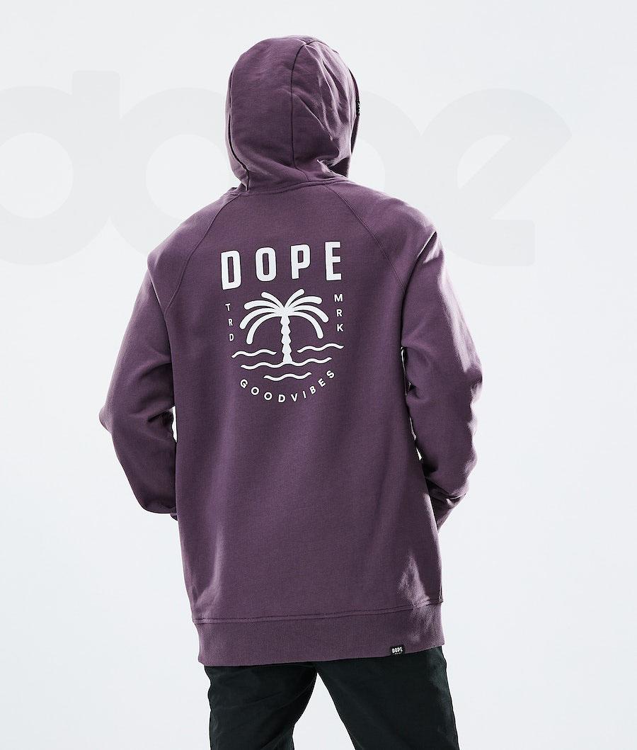 Sudadera Con Capucha Dope Daily Palm Hombre Moradas | ESBC3014