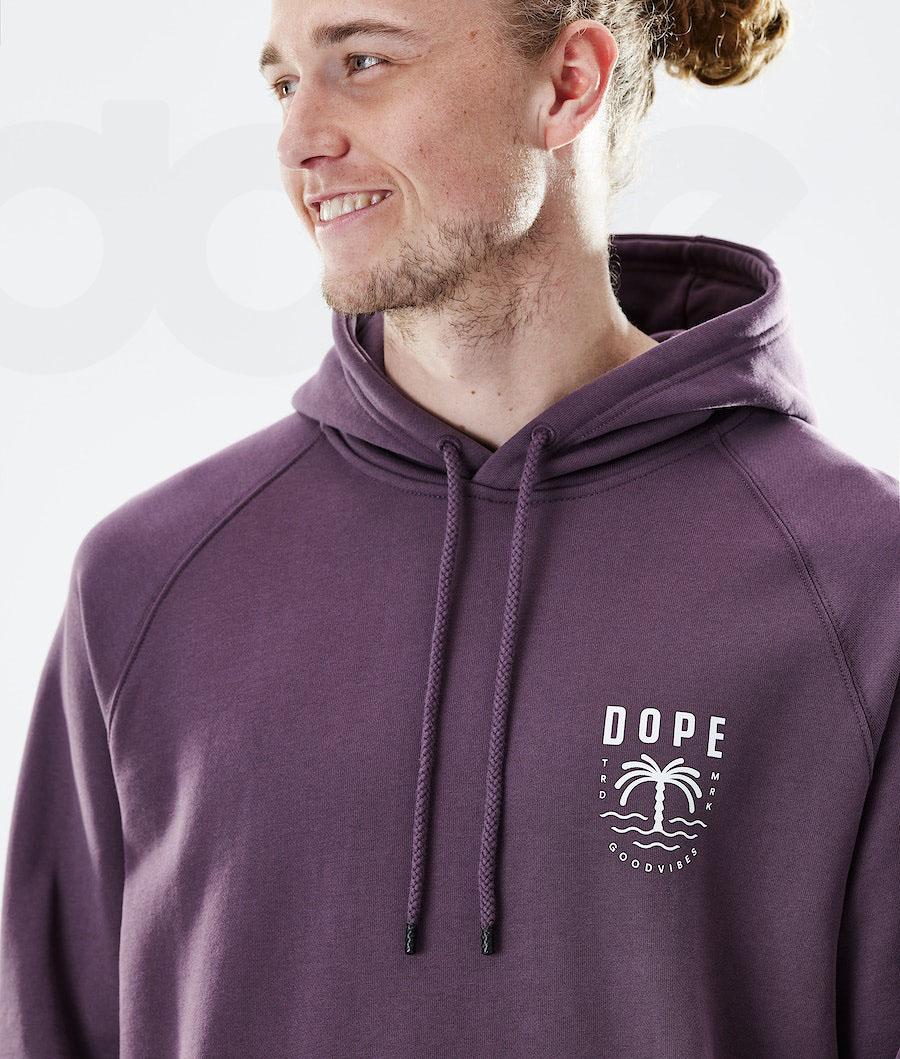 Sudadera Con Capucha Dope Daily Palm Hombre Moradas | ESBC3014